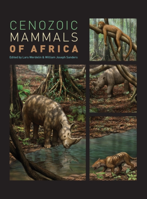 Cenozoic Mammals of Africa, Hardback Book