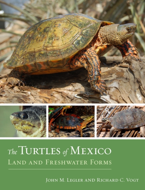 The Turtles of Mexico : Land and Freshwater Forms, Hardback Book
