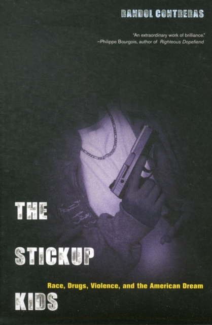 The Stickup Kids : Race, Drugs, Violence, and the American Dream, Paperback / softback Book