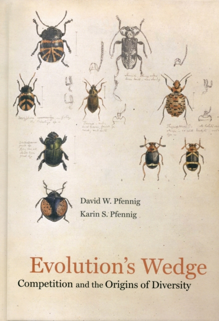 Evolution's Wedge : Competition and the Origins of Diversity, Hardback Book
