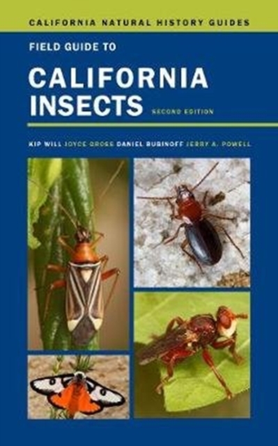 Field Guide to California Insects : Second Edition, Hardback Book
