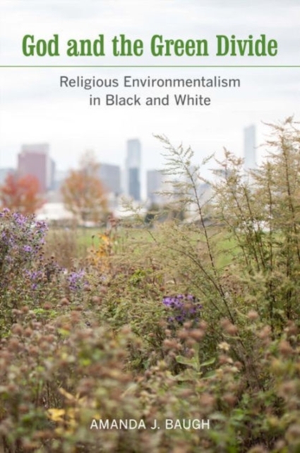 God and the Green Divide : Religious Environmentalism in Black and White, Paperback / softback Book