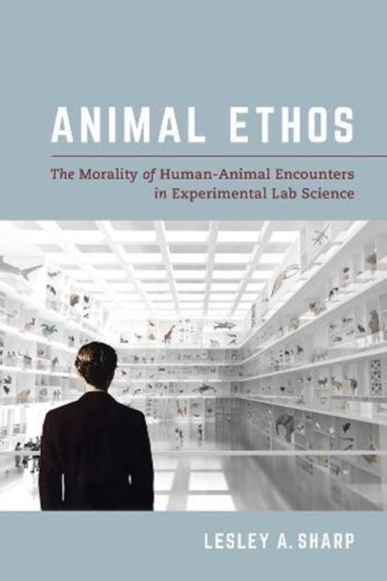 Animal Ethos : The Morality of Human-Animal Encounters in Experimental Lab Science, Paperback / softback Book