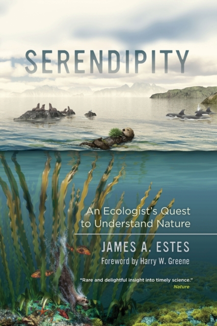 Serendipity : An Ecologist's Quest to Understand Nature, Paperback / softback Book