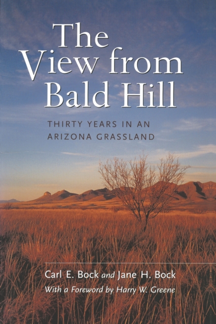 The View from Bald Hill : Thirty Years in an Arizona Grassland, PDF eBook