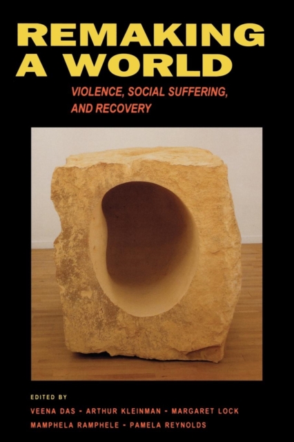 Remaking a World : Violence, Social Suffering, and Recovery, EPUB eBook