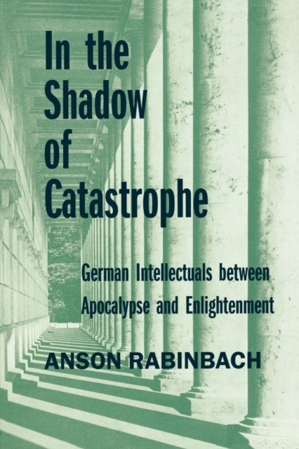 In the Shadow of Catastrophe : German Intellectuals Between Apocalypse and Enlightenment, EPUB eBook