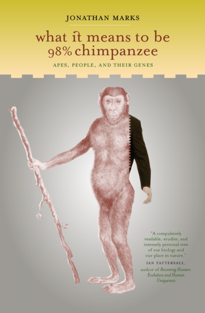 What It Means to Be 98% Chimpanzee : Apes, People, and Their Genes, PDF eBook