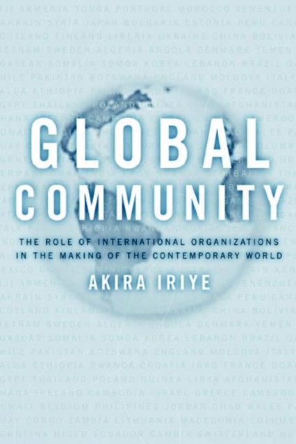 Global Community : The Role of International Organizations in the Making of the Contemporary World, PDF eBook