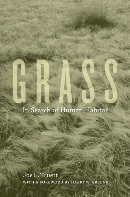 Grass : In Search of Human Habitat, PDF eBook