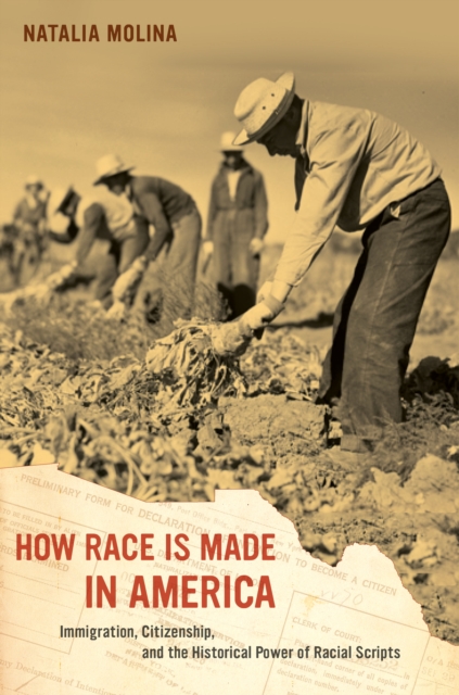 How Race Is Made in America : Immigration, Citizenship, and the Historical Power of Racial Scripts, EPUB eBook