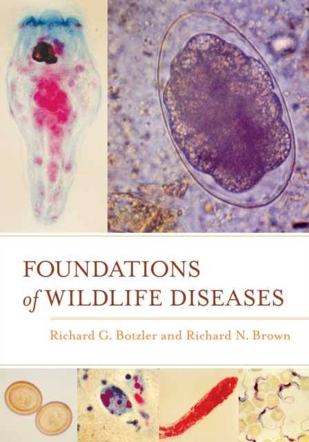 Foundations of Wildlife Diseases, EPUB eBook