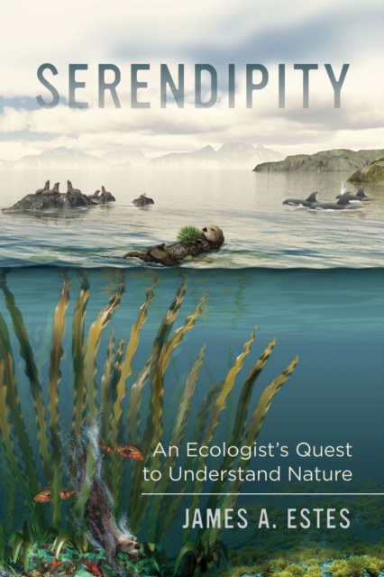 Serendipity : An Ecologist's Quest to Understand Nature, EPUB eBook