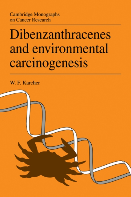 Dibenzanthracenes and Environmental Carcinogenesis, Paperback / softback Book