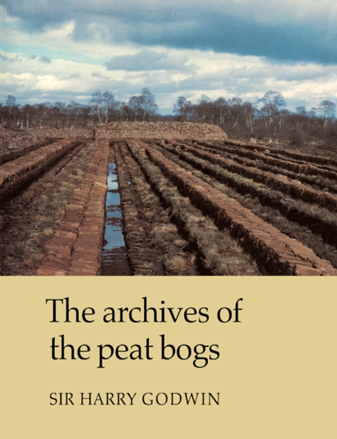 The Archives of Peat Bogs, Paperback / softback Book