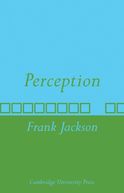 Perception : A representative theory, Paperback / softback Book