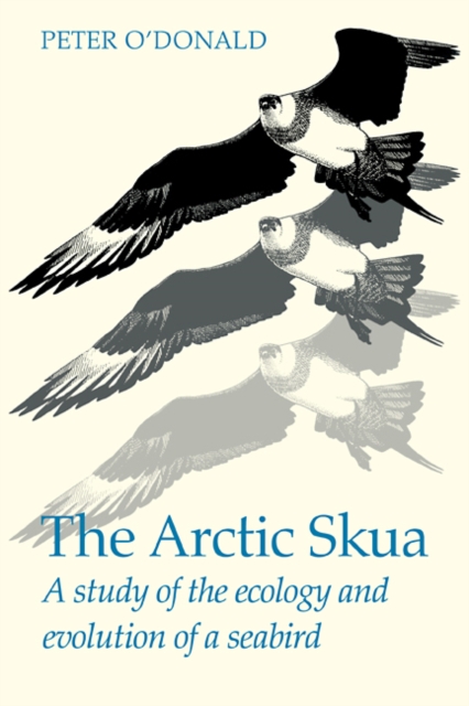 The Arctic Skua : A study of the ecology and evolution of a seabird, Paperback / softback Book