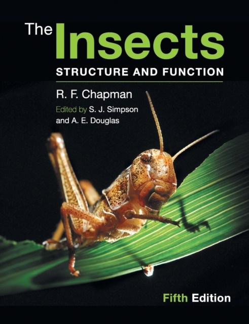 The Insects : Structure and Function, Paperback / softback Book