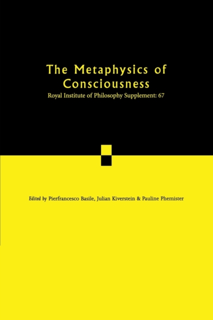 The Metaphysics of Consciousness, Paperback / softback Book