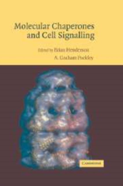 Molecular Chaperones and Cell Signalling, Paperback / softback Book