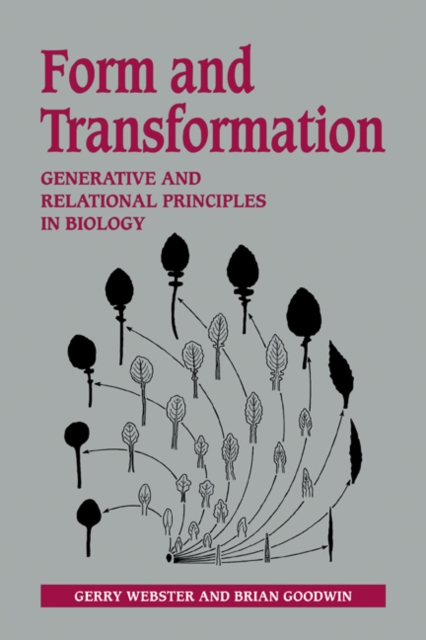 Form and Transformation : Generative and Relational Principles in Biology, Paperback / softback Book