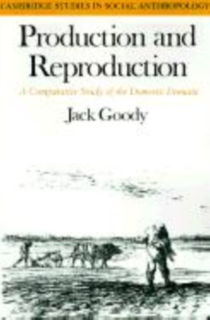 Production and Reproduction : A Comparative Study of the Domestic Domain, Hardback Book