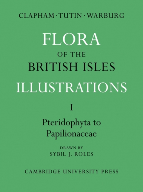Flora of the British Isles : Illustrations, Paperback / softback Book