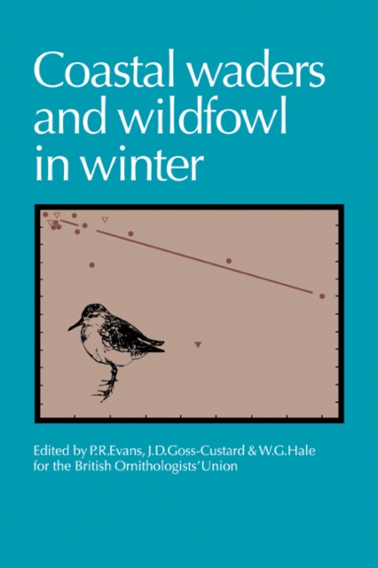 Coastal Waders and Wildfowl in Winter, Paperback / softback Book