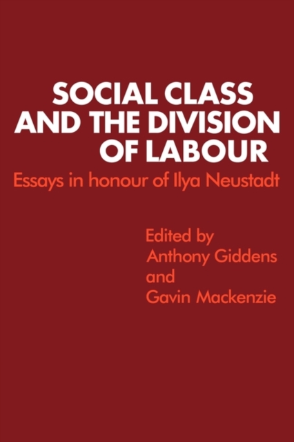 Social Class and the Division of Labour : Essays in Honour of Ilya Neustadt, Paperback / softback Book
