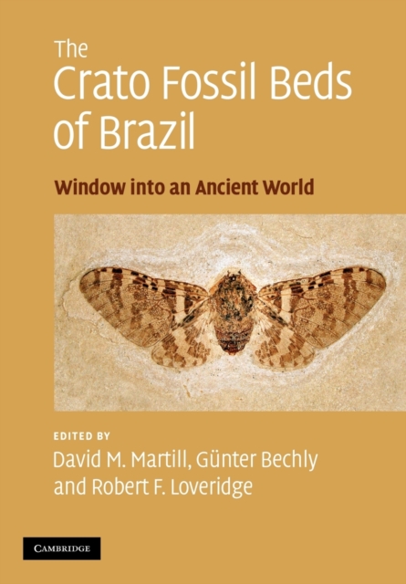 The Crato Fossil Beds of Brazil : Window into an Ancient World, Paperback / softback Book