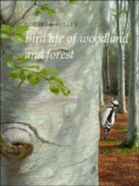 Bird Life of Woodland and Forest, Hardback Book