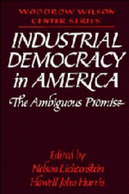 Industrial Democracy in America : The Ambiguous Promise, Hardback Book