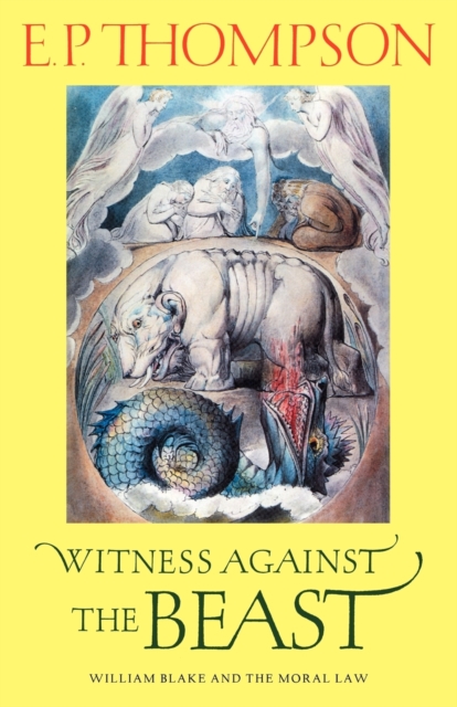 Witness against the Beast : William Blake and the Moral Law, Paperback / softback Book