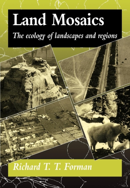 Land Mosaics : The Ecology of Landscapes and Regions, Paperback / softback Book