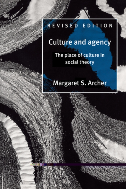 Culture and Agency : The Place of Culture in Social Theory, Paperback / softback Book