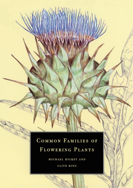 Common Families of Flowering Plants, Paperback / softback Book