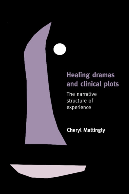 Healing Dramas and Clinical Plots : The Narrative Structure of Experience, Paperback / softback Book