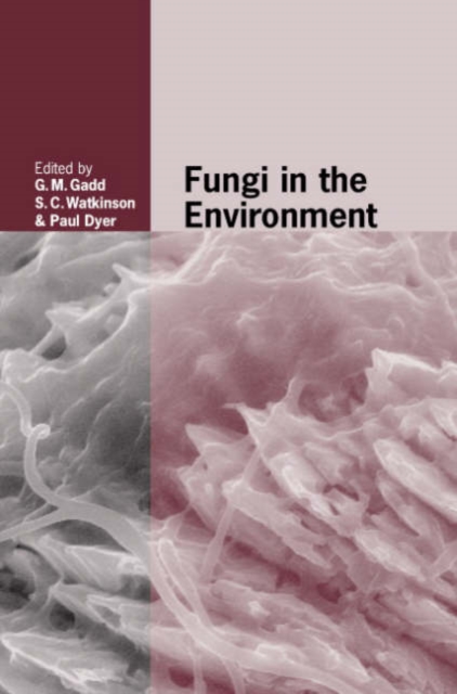 Fungi in the Environment, Hardback Book