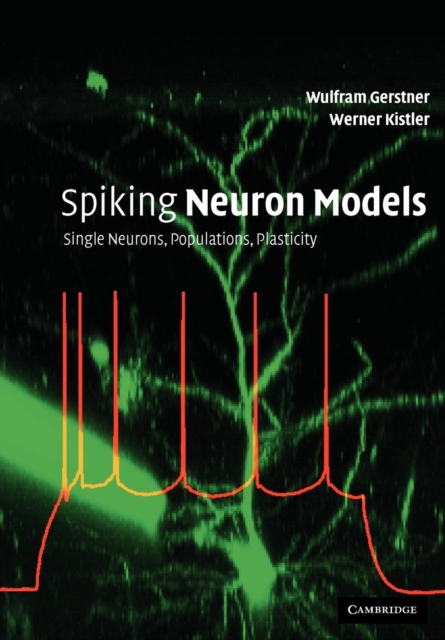 Spiking Neuron Models : Single Neurons, Populations, Plasticity, Paperback / softback Book