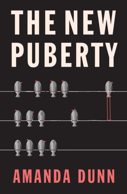 The New Puberty, Paperback / softback Book