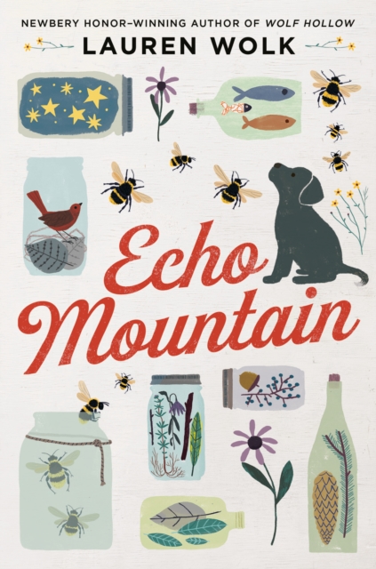 Echo Mountain, EPUB eBook