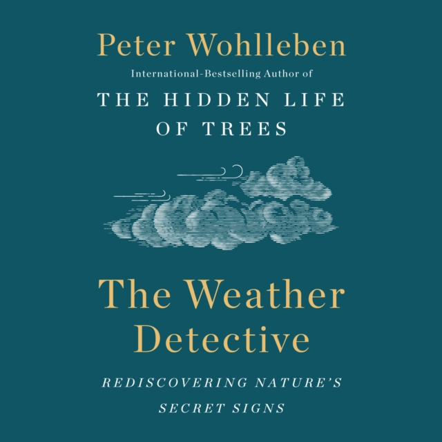 Weather Detective, eAudiobook MP3 eaudioBook