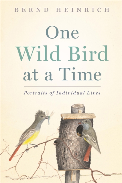 One Wild Bird at a Time : Portraits of Individual Lives, EPUB eBook