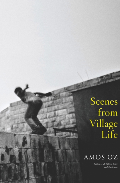 Scenes from Village Life, EPUB eBook