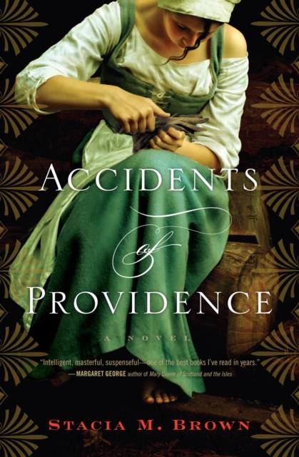 Accidents of Providence : A Novel, EPUB eBook