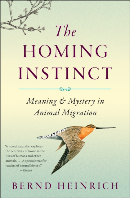 The Homing Instinct : Meaning & Mystery in Animal Migration, EPUB eBook