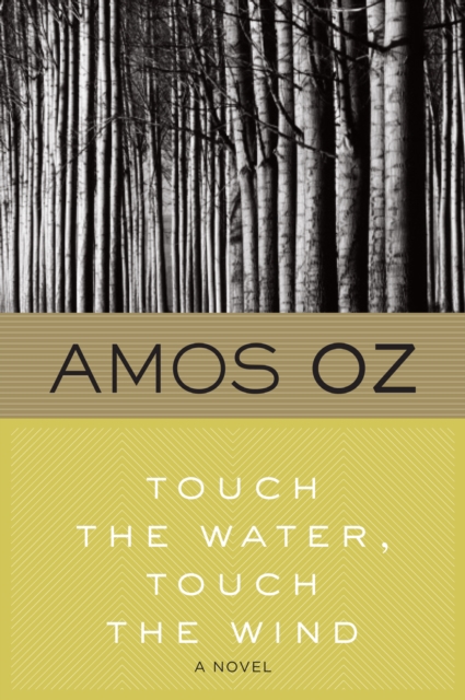 Touch the Water, Touch the Wind : A Novel, EPUB eBook