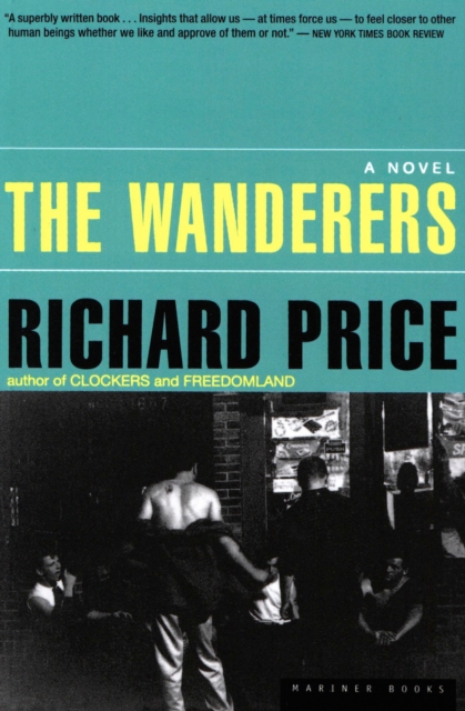 The Wanderers : A Novel, EPUB eBook