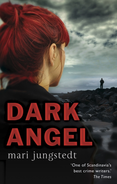 Dark Angel : Anders Knutas series 6, Paperback / softback Book