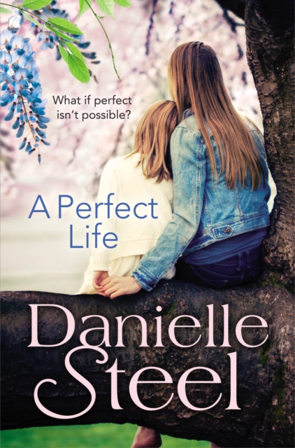 A Perfect Life, Paperback / softback Book